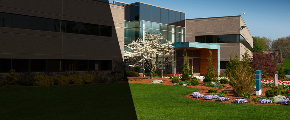 Arlington Landscapers