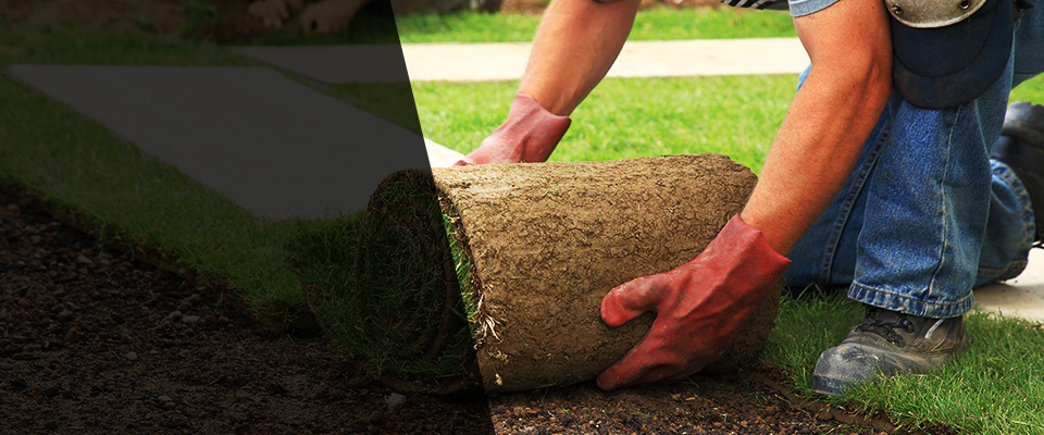 Arlington Landscapers